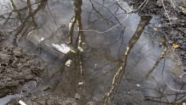 一个塑料杯子 玻璃杯和节能灯泡被扔到街上的泥土和水坑里 那里有环境污染 树反映在水中 — 图库视频影像