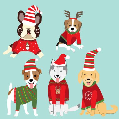 Noel kazağı celebret kış tebrik season.il için köpeklerde