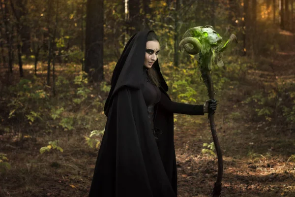 Contos Para Dia Das Bruxas Menina Com Pau Caveira Carneiro — Fotografia de Stock