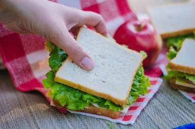 Bir sandviçle otlar ve sosis ve peynir piknik üzerinde. Eller iştah açıcı bir sandviç al
