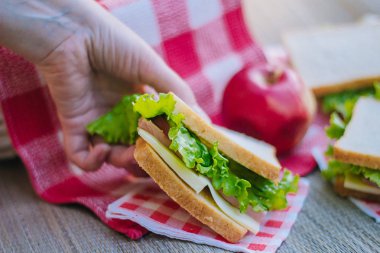 Bir sandviçle otlar ve sosis ve peynir piknik üzerinde. Eller iştah açıcı bir sandviç al