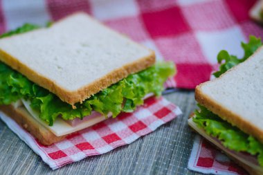 Otlar ve sosis ve peynir piknik üzerinde bir sandviçle. 