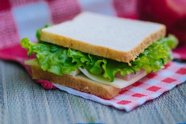 Otlar ve sosis ve peynir piknik üzerinde bir sandviçle. 