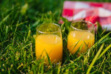 İki bardak portakal suyu otların arasında stand. Cam bardağı payet ile çimenlerin üzerinde