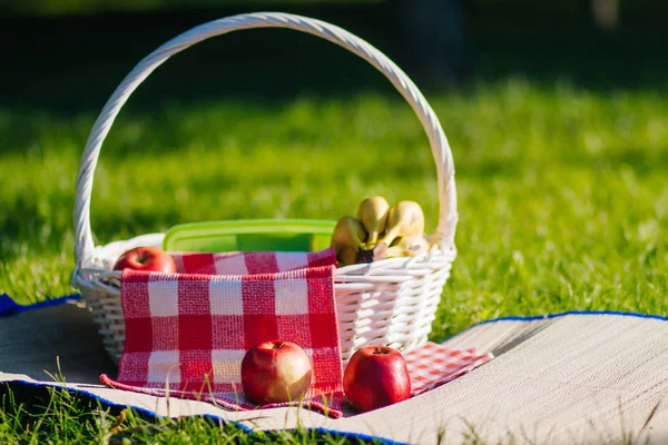 A white fruit basket stands on straw forging. Towel in a red cage. Picnic on the lawn. A bunch of yellow bananas and red apples