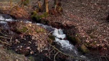 Huzurlu ve huzurlu bir dere canlı sonbahar yaprakları ve pitoresk ormanlık alanlarda usulca akıyor.