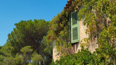 Saint Tropez 'de hayat devam ediyor.