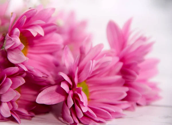Flores púrpuras Valentine Days Card — Foto de Stock