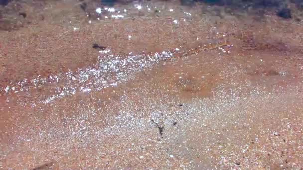 金色的沙滩冲浪海滨游乐场的克里米亚黑海 — 图库视频影像