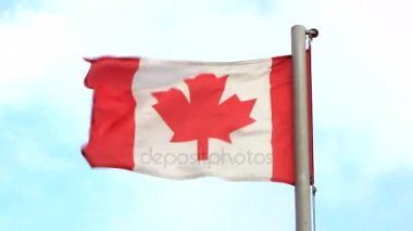 Yavaş hareket Kanada bayrağı rüzgarda.