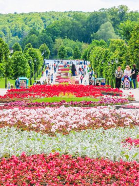 Moskova, Rusya - 18 Haziran. 2017. genel şeklinde Park karmaşık Tsaritsyno yaz
