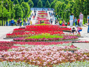 Moskova, Rusya - 18 Haziran. 2017. genel şeklinde Park karmaşık Tsaritsyno yaz