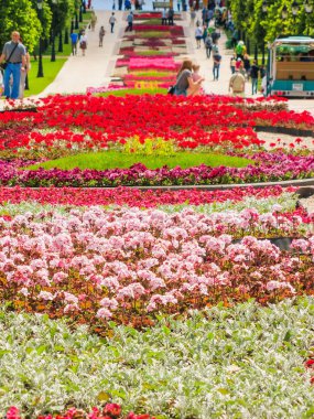 Moskova, Rusya - 18 Haziran. 2017. genel şeklinde Park karmaşık Tsaritsyno yaz