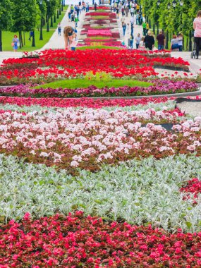 Moskova, Rusya - 18 Haziran. 2017. genel şeklinde Park karmaşık Tsaritsyno yaz