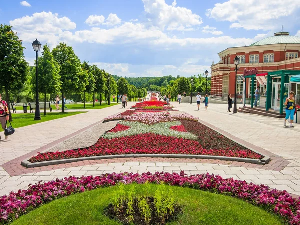 モスクワ, ロシア連邦 - 6 月 18 日。2017。 夏の公園の複雑なレニノの一般的な形式 — ストック写真