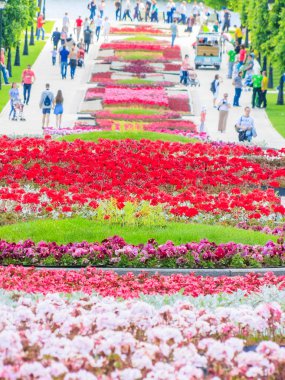 Moskova, Rusya - 18 Haziran. 2017. genel şeklinde Park karmaşık Tsaritsyno yaz
