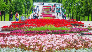 Moskova, Rusya - 18 Haziran. 2017. genel şeklinde Park karmaşık Tsaritsyno yaz