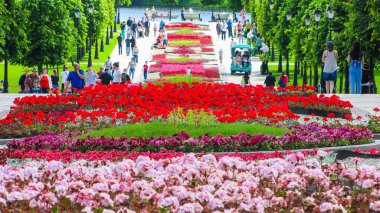 Moskova, Rusya - 18 Haziran. 2017. genel şeklinde Park karmaşık Tsaritsyno yaz