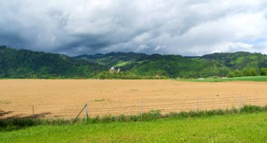 Avusturya Alpleri 'nin güzel panoramik manzarası
