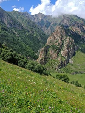 Kimya vadisi. Kafkas dağları. Kabardino-Balkaria. Rusya