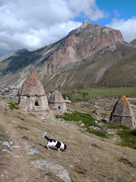 Dödas Stad Forntida Begravningsplatser Talen Verkhny Chegem Kabardino Balkaria Ryssland — Stockfoto