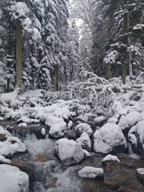 Dağlardaki kış nehri