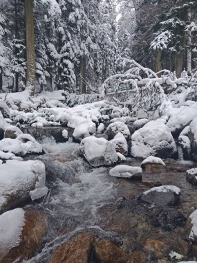 Dağlardaki kış nehri