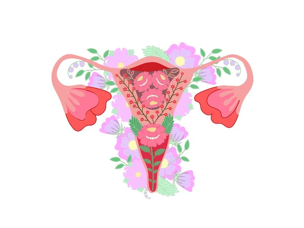 Çiçekli rahim organı, kadın doğası. Feminizm kavramı. Güzel dişi üreme organı ve çiçekler. Kadın sembolü. Kadın üreme sağlığı çizimi. Vektör illüstrasyonu. 