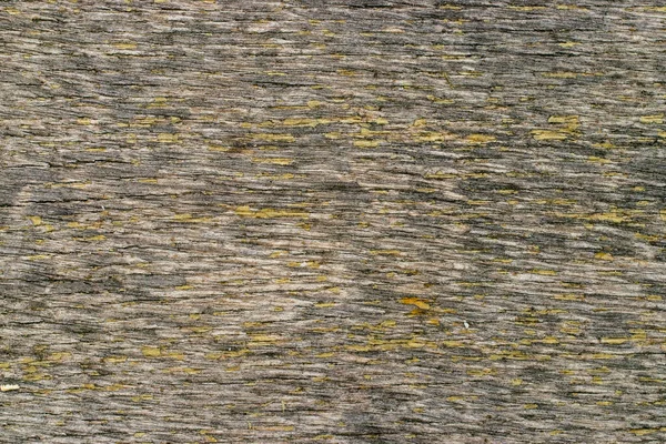 Textura Madeira Tábua Carvalho Closeup — Fotografia de Stock