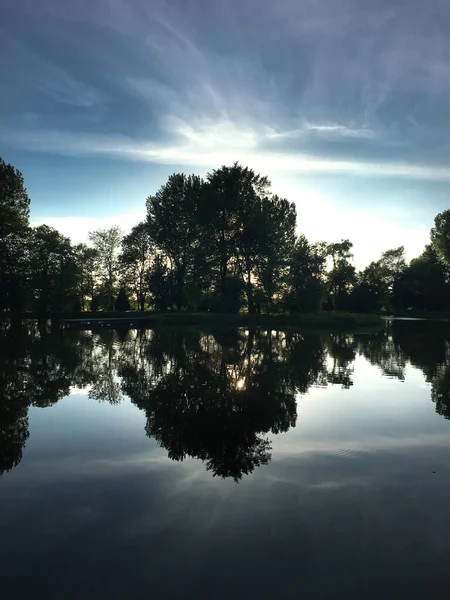 trees and cloudy sky are mirrored in the lake