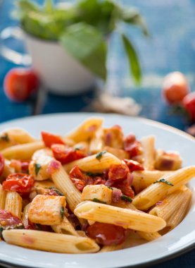 Renkli penne makarna domates ve fesleğen ile