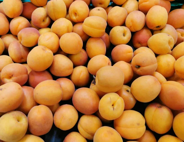 Mogna Aprikoser Frukter Gröda Läggs Monter Marknad — Stockfoto