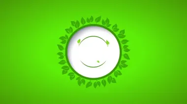 Sağlıklı Gıda Ürünleri Oluşturan Rastgele Hareketler Yaprak Kemerde Kalan Kaliteli Zarf Parlak Yeşil Çarşafın Üzerinde Yüzüyor