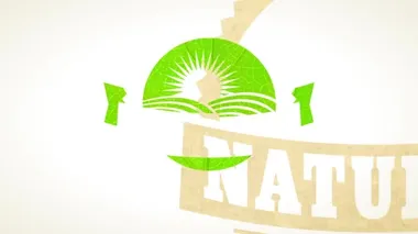 Yaprak ve geri dönüştürülmüş kağıt dokusuyla yapılan doğal organik gıdanın biyo-çevre dostu damgası bahar ve ölçeklendirme hareketi