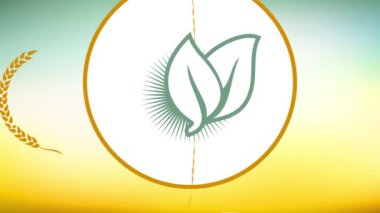 Zıplayan Düz Elementler Parlak Çevre Ürünleri Oluşturan Bir Kelt Senaryosuyla Yapılan Bir Küre Kapalı Arkaplanda Yüzüyor