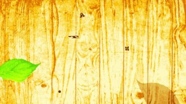 Tahta temalı vejetaryen vejetaryen organik gıda tabelasının Eko Köyü Ürünleri Markası için Pyrography Style Harflerini kullanarak Animasyonu Yavaşlatmak