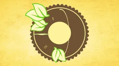 Geri dönüşümlü Çevre Kağıdı Arkaplanındaki Simge Gibi Tekerlekli Taze Vejetaryen Yemeği İçin Gerekli Etiket Oluşturan Ögelerin Hareketi