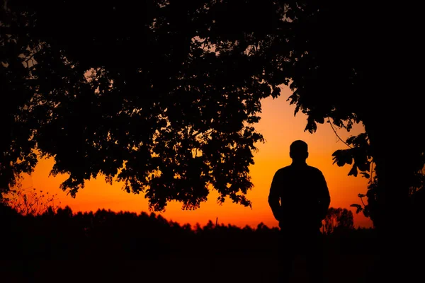 シルエットの空を見て立って男と自然の夕日の風景 — ストック写真