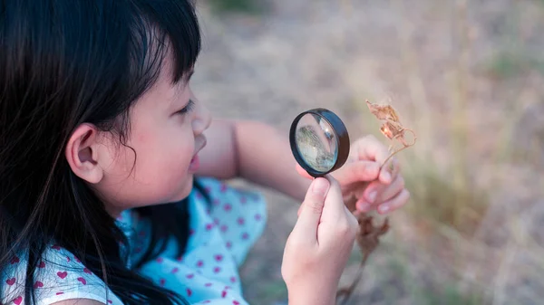 Happy Asian Child Girl Exploring Nature Magnifying Glass Style — Stock Photo, Image
