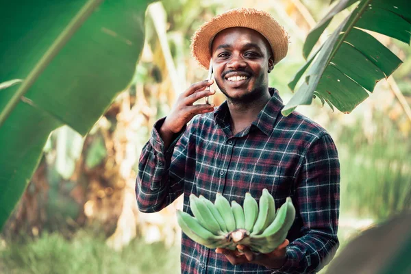 African farmer man talk on smartphone and banana at organic farm with smile and happy.Agriculture or cultivation concept