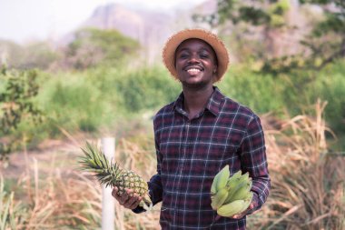Afrikalı çiftçi organik çiftlikte ananas ve muz tutuyor. Gülümsüyor ve mutlu. Tarım ya da tarım kavramı.