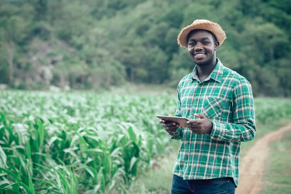 African Farmer Man Holding Tablet Organic Farm Smile Happy Agriculture — Stock Photo, Image