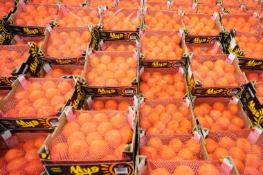 Turuncu meyve arka plan duvar kâğıdı