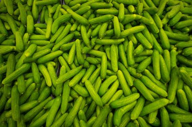 Salatalık yeşili sebze arka plan duvar kağıdı