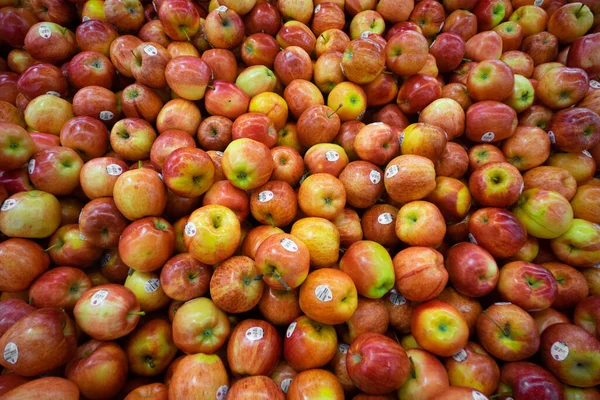 red apple fruit Background wallpaper