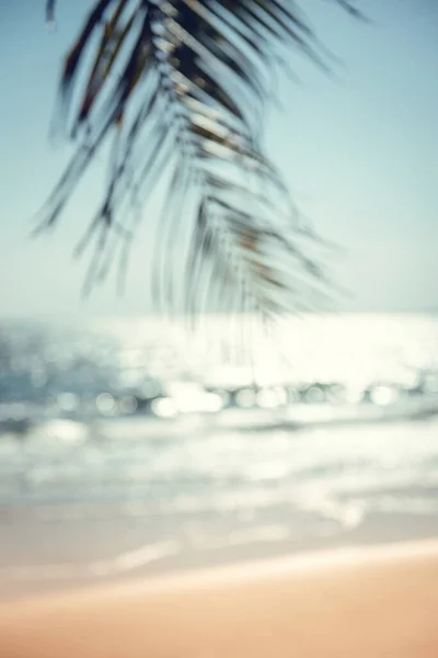 Feuille Palmier Vert Floue Sur Plage Tropicale Avec Fond Abstrait — Photo