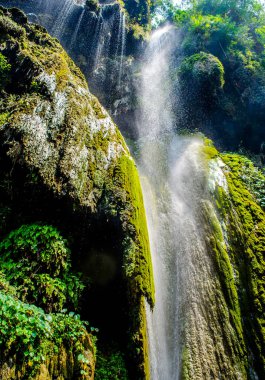 Patna Şelalesi Rishikesh 'te popüler bir şelaledir. Doğa aşıkları gelip doğada biraz zaman geçirirler..