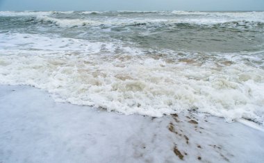 Somenath Gujarat Hindistan 'daki Somnath Tapınağı' nın deniz kıyısında mercan ve deniz kabuğu.