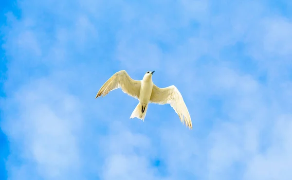구자라트의 가운데 하늘을 아름다운 — 스톡 사진