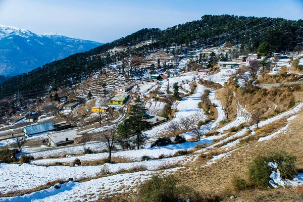 Patnitop Een Stad Van Jammu Zijn Park Bedekt Met Witte — Stockfoto